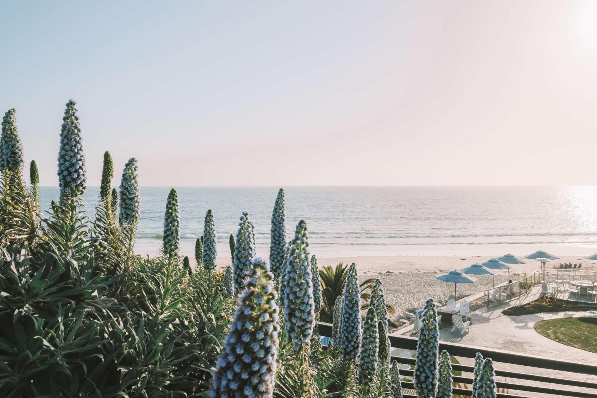 Waldorf Astoria Monarch Beach Resort & Club ดานาพอยท์ ภายนอก รูปภาพ